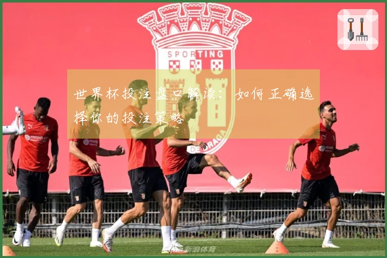 世界杯投注盘口解读：如何正确选择你的投注策略