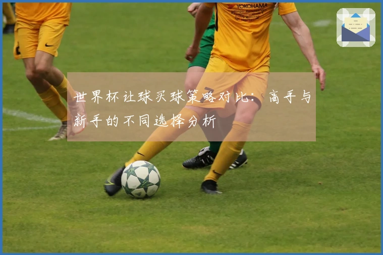 世界杯让球买球策略对比：高手与新手的不同选择分析
