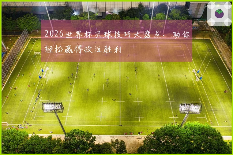2026世界杯买球技巧大盘点，助你轻松赢得投注胜利