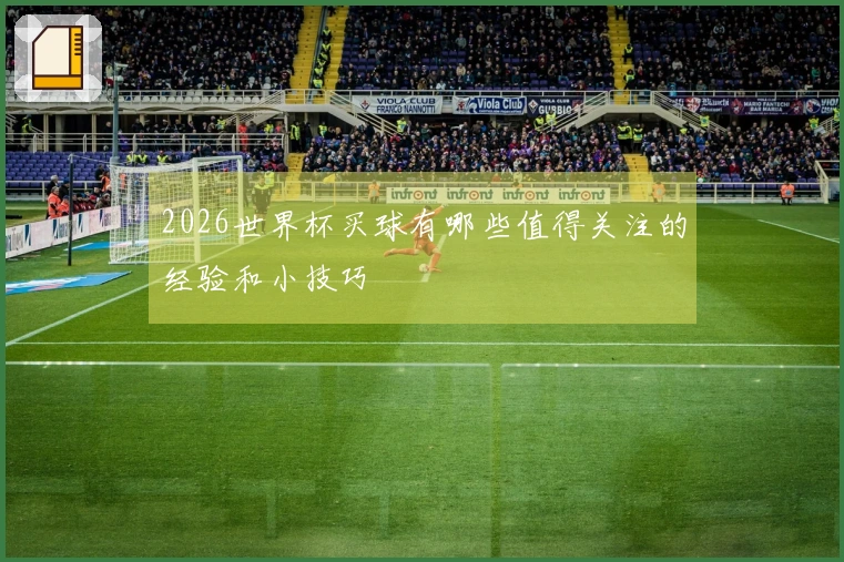 2026世界杯买球有哪些值得关注的经验和小技巧