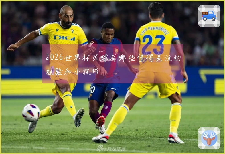 2026世界杯买球有哪些值得关注的经验和小技巧