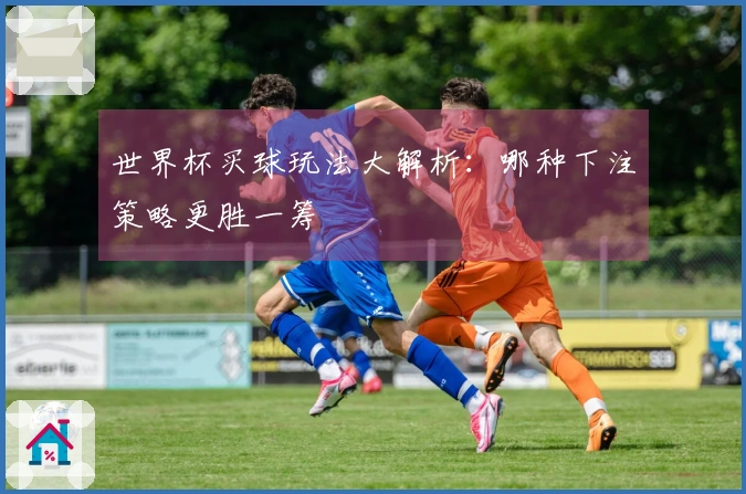 世界杯买球玩法大解析：哪种下注策略更胜一筹