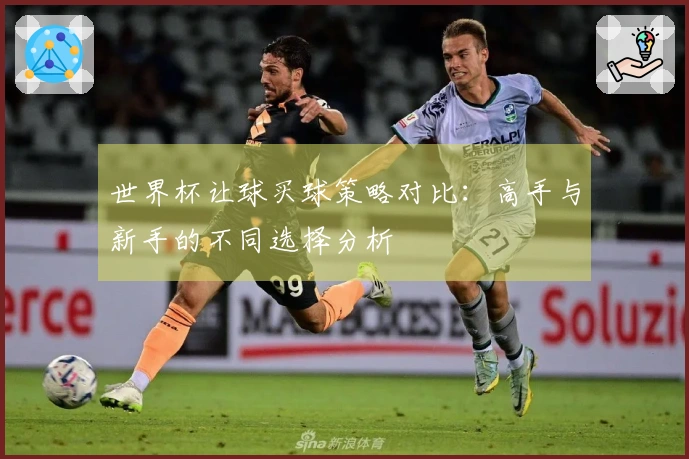 世界杯让球买球策略对比：高手与新手的不同选择分析